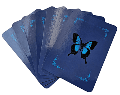 Card Reading 45 Minuten, Online oder in Präsenz Card Reading 45 Minuten, Online oder in Präsenz